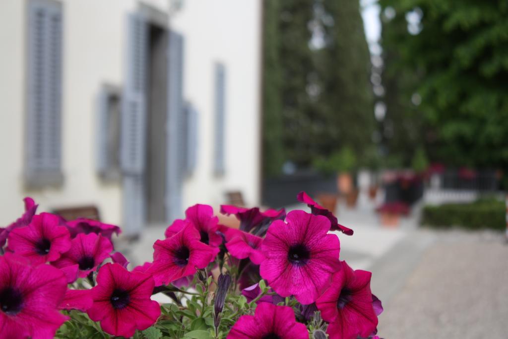 Villa Montarioso Siena Exterior foto